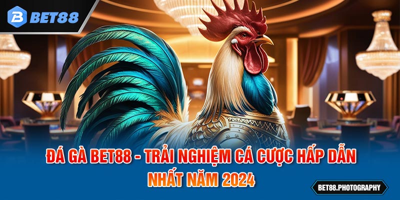 Đá Gà BET88 - Trải Nghiệm Cá Cược Hấp Dẫn Nhất Năm 2024