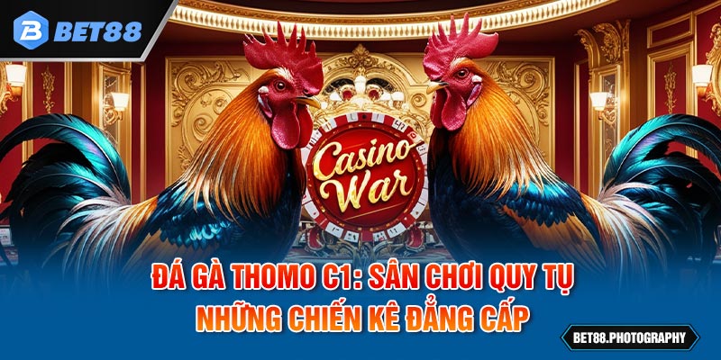 Đá Gà Thomo C1: Sân Chơi Quy Tụ Những Chiến Kê Đẳng Cấp