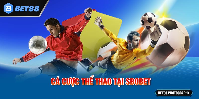 Cá cược thể thao trực tuyến cực cuốn tại sảnh Sbobet