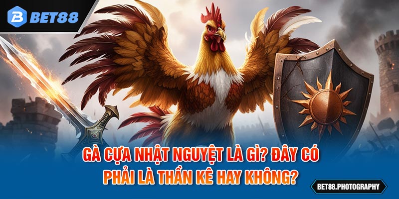 Gà Cựa Nhật Nguyệt Là Gì? Có Phải Là Thần Kê Bất Bại Không?