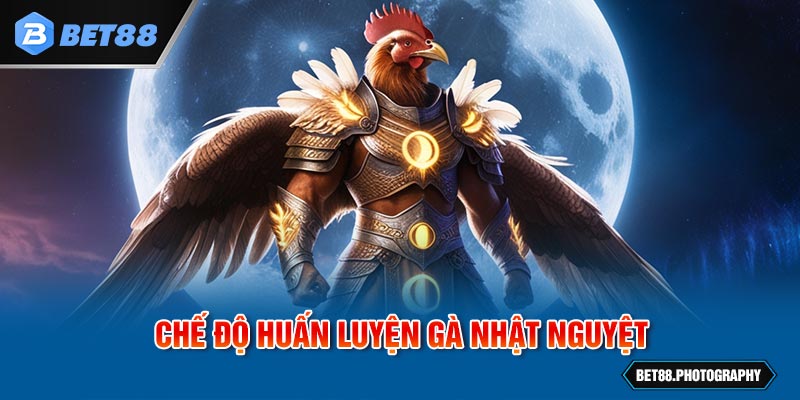 Chế độ huấn luyện gà Nhật Nguyệt